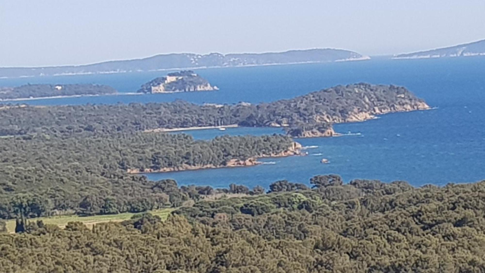 Apartament Rez De Jardin T3 Recent Et Calme Au Nouvelles Terres A La Londe Les Maures Zewnętrze zdjęcie