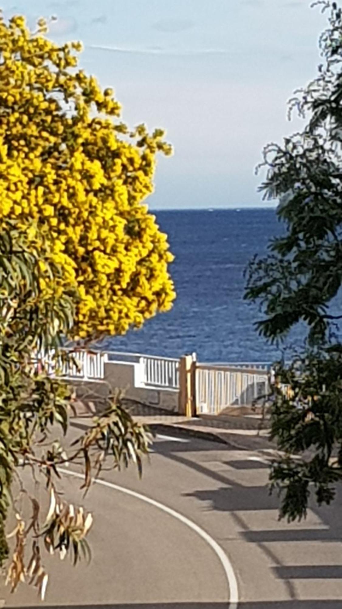 Apartament Rez De Jardin T3 Recent Et Calme Au Nouvelles Terres A La Londe Les Maures Zewnętrze zdjęcie